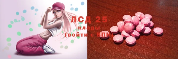 винт Лабытнанги
